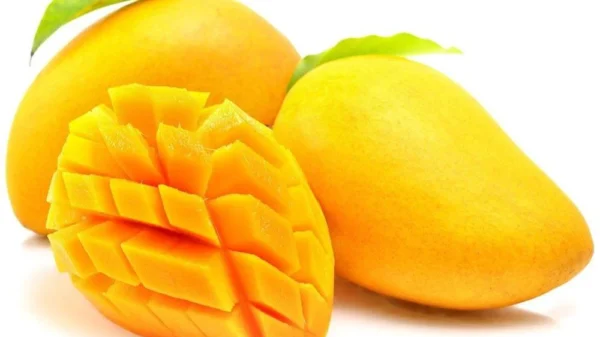 mango