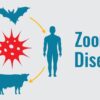 zoonotic diseases