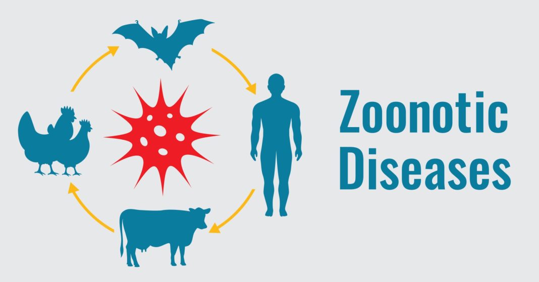 zoonotic diseases